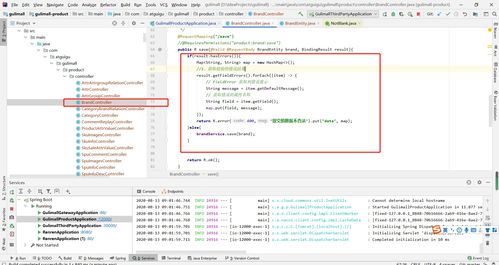使用JSR303进行商品服务API品牌管理的数据校验