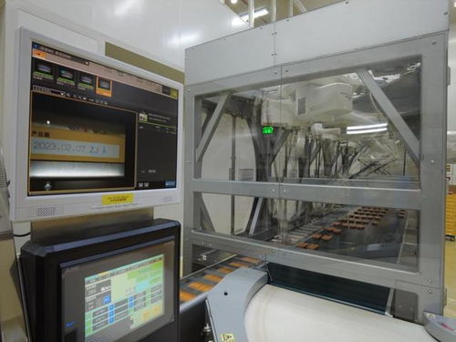 新华全媒 丨 中国市场就是我们最大的信心——浙江外资聚集地一线走访观察